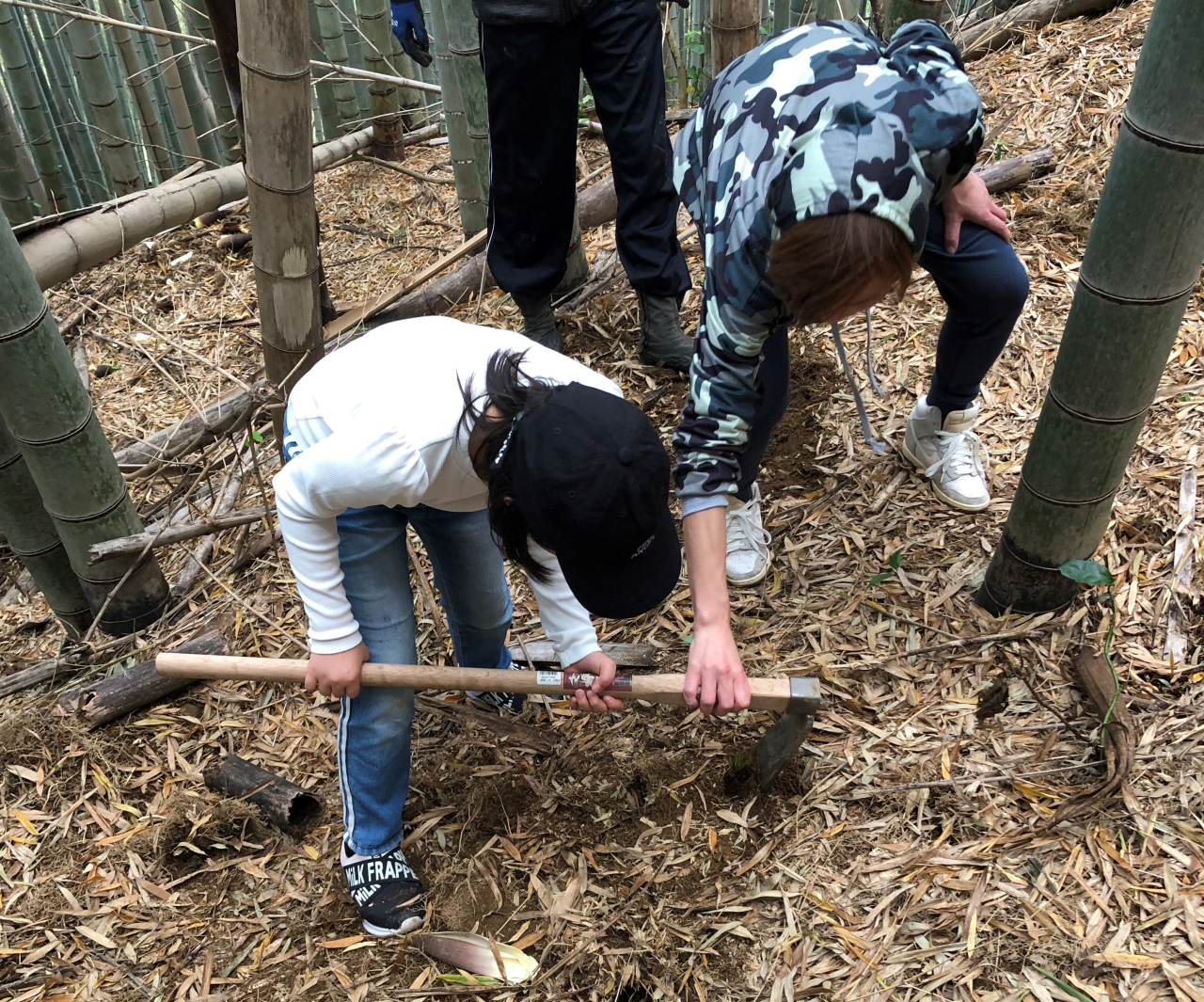 たけのこほり１